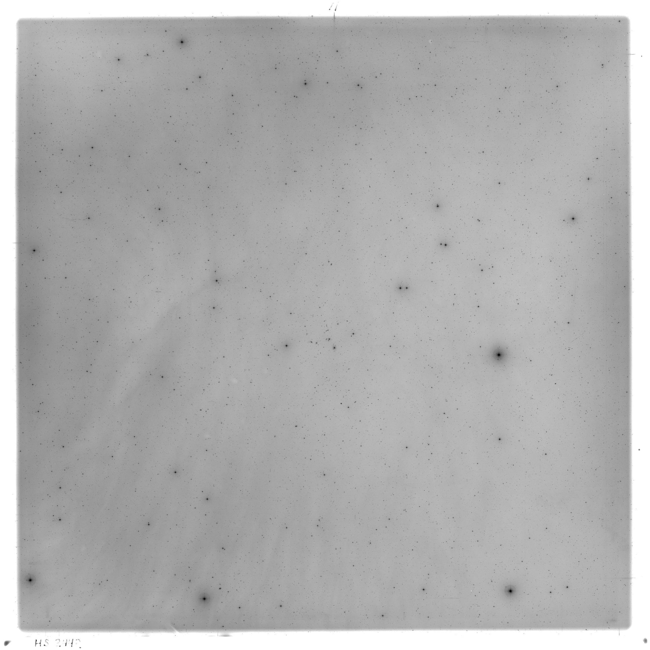 Scan HS02442