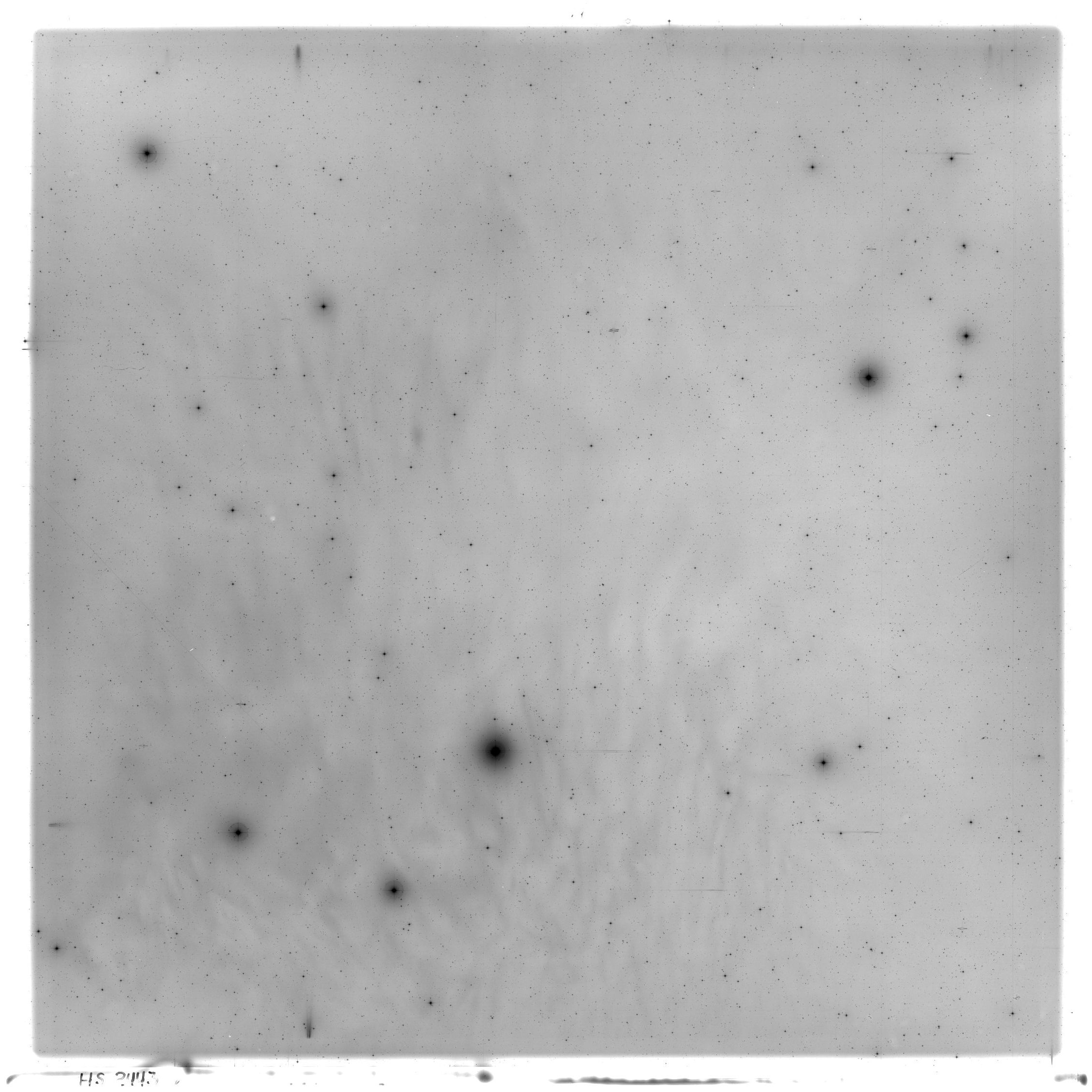 Scan HS02443