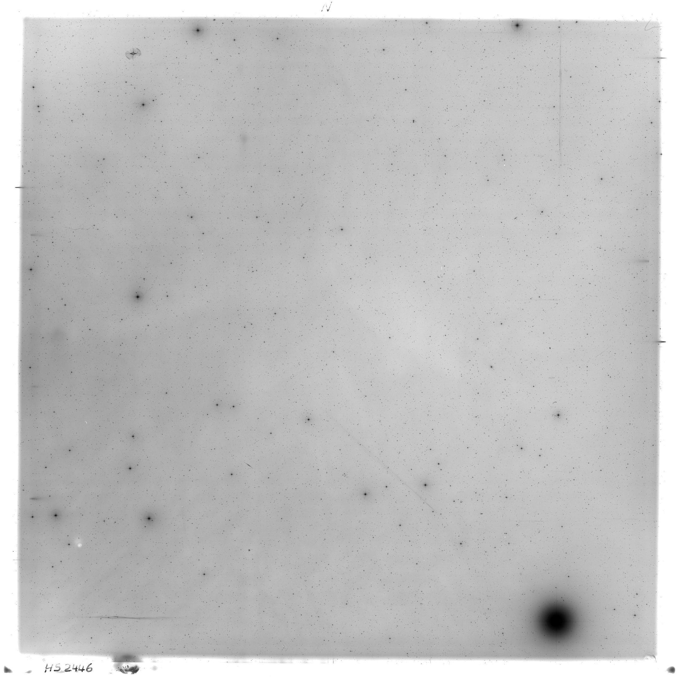 Scan HS02446