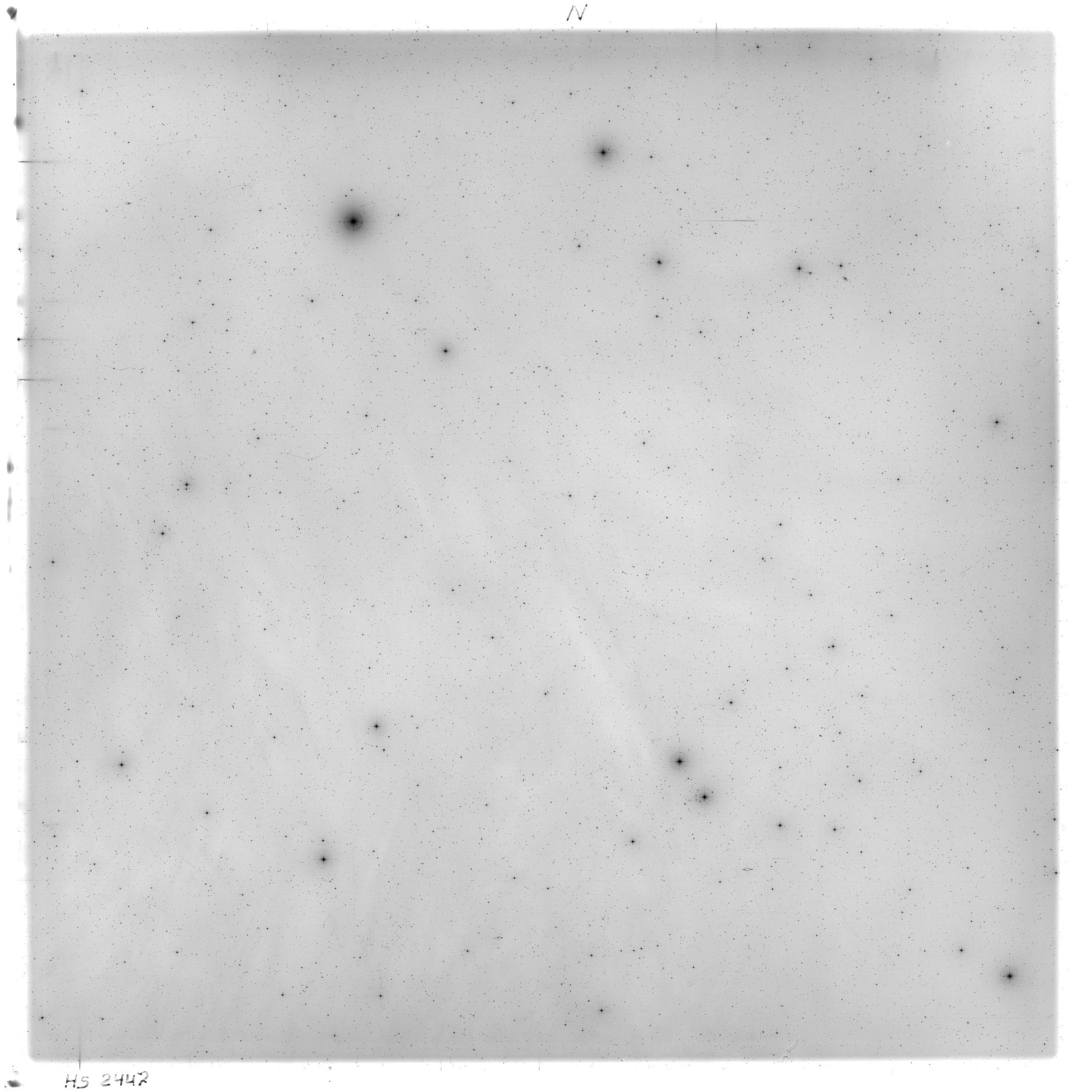 Scan HS02447