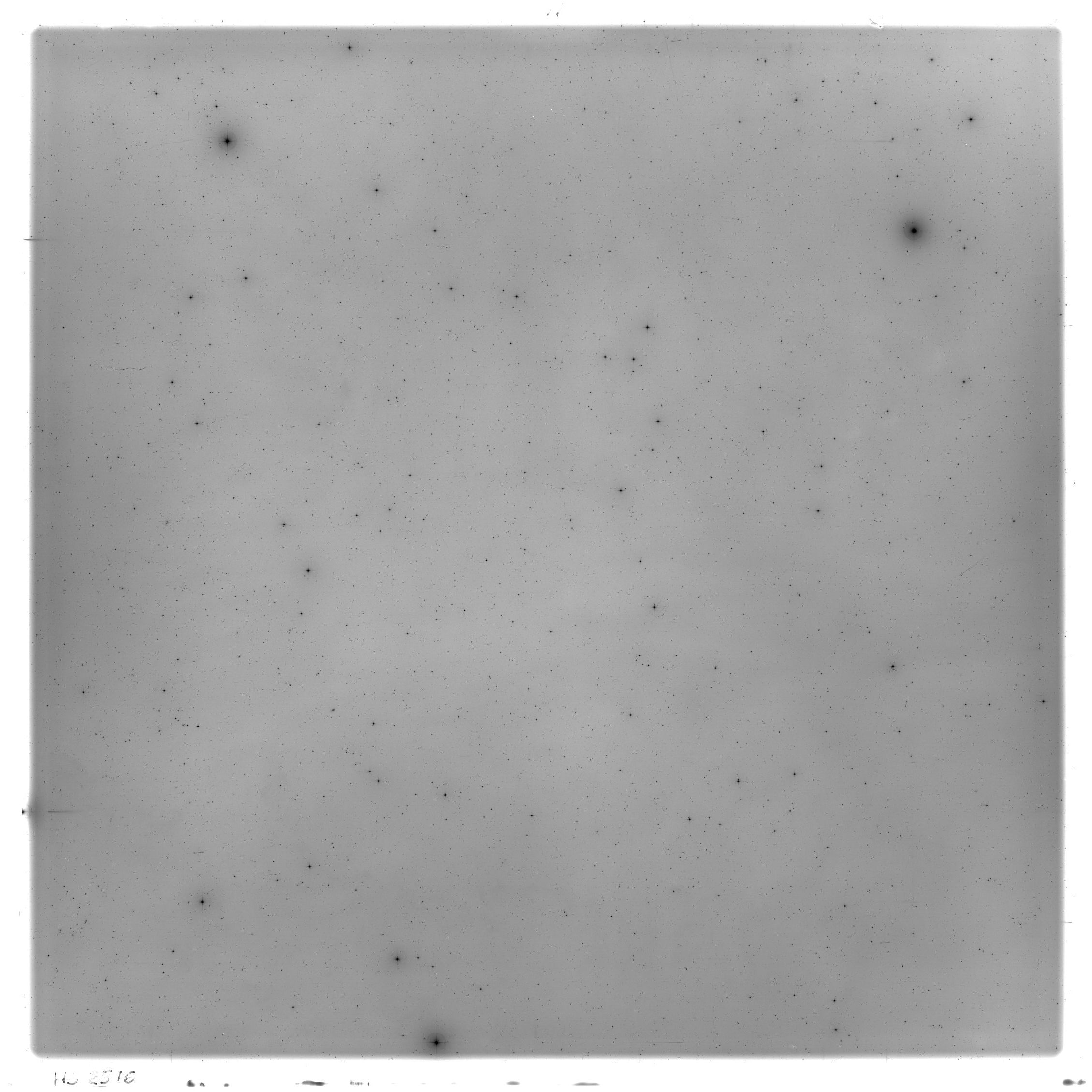 Scan HS02516