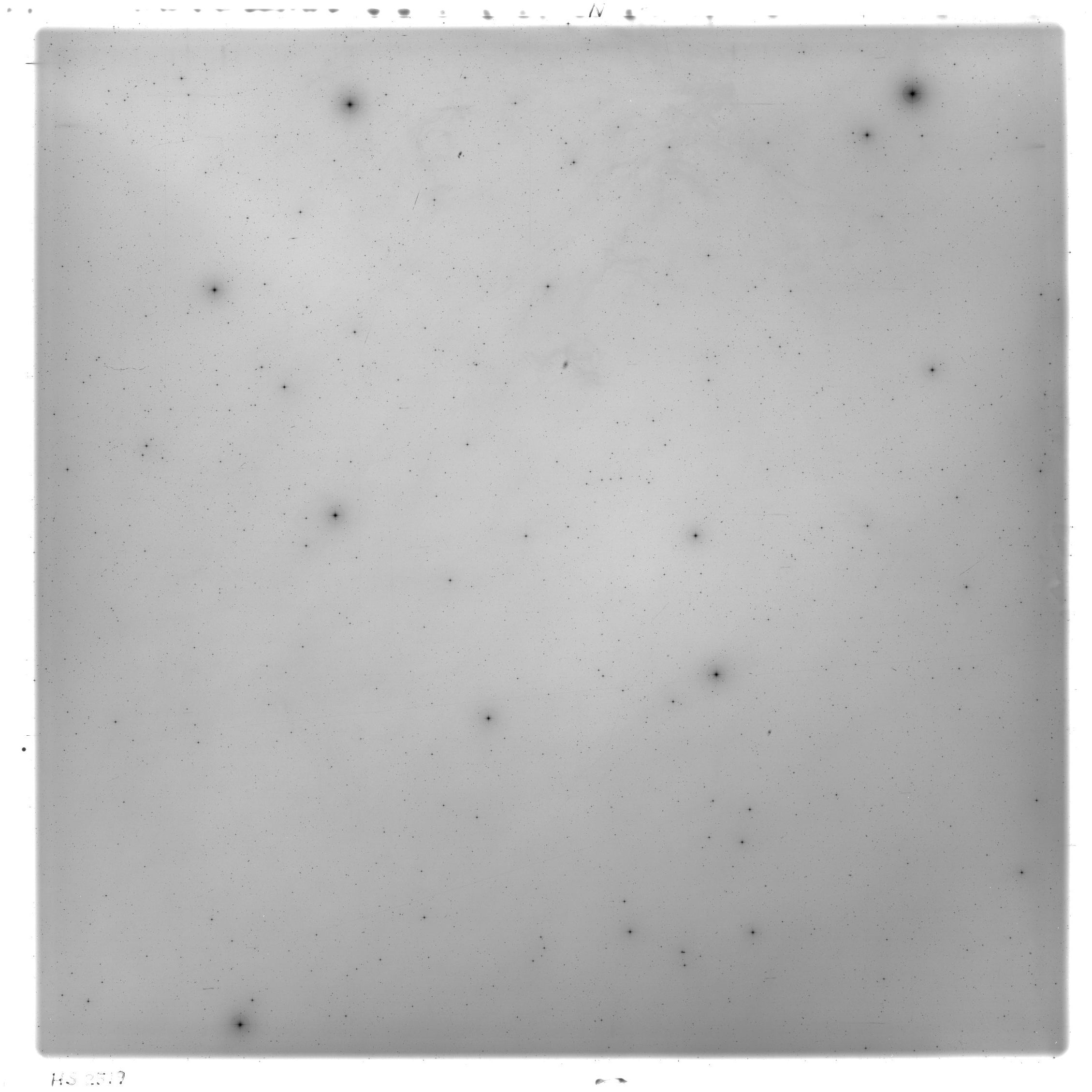 Scan HS02519