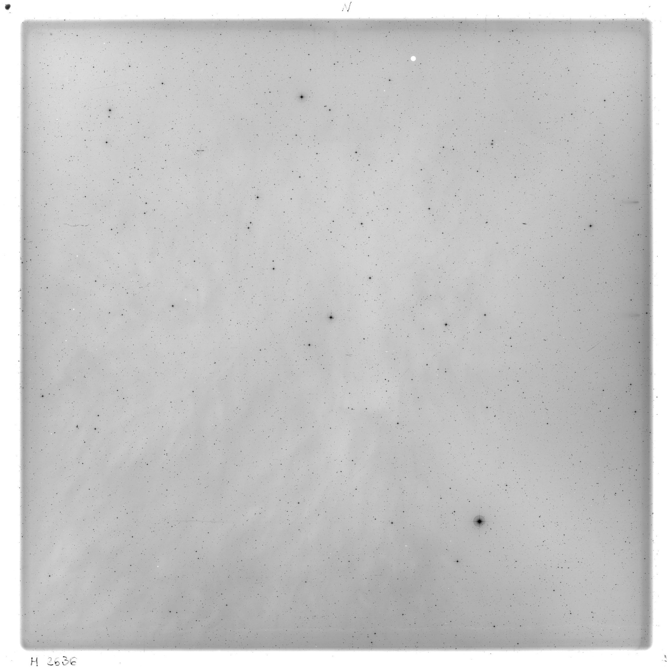 Scan HS02636