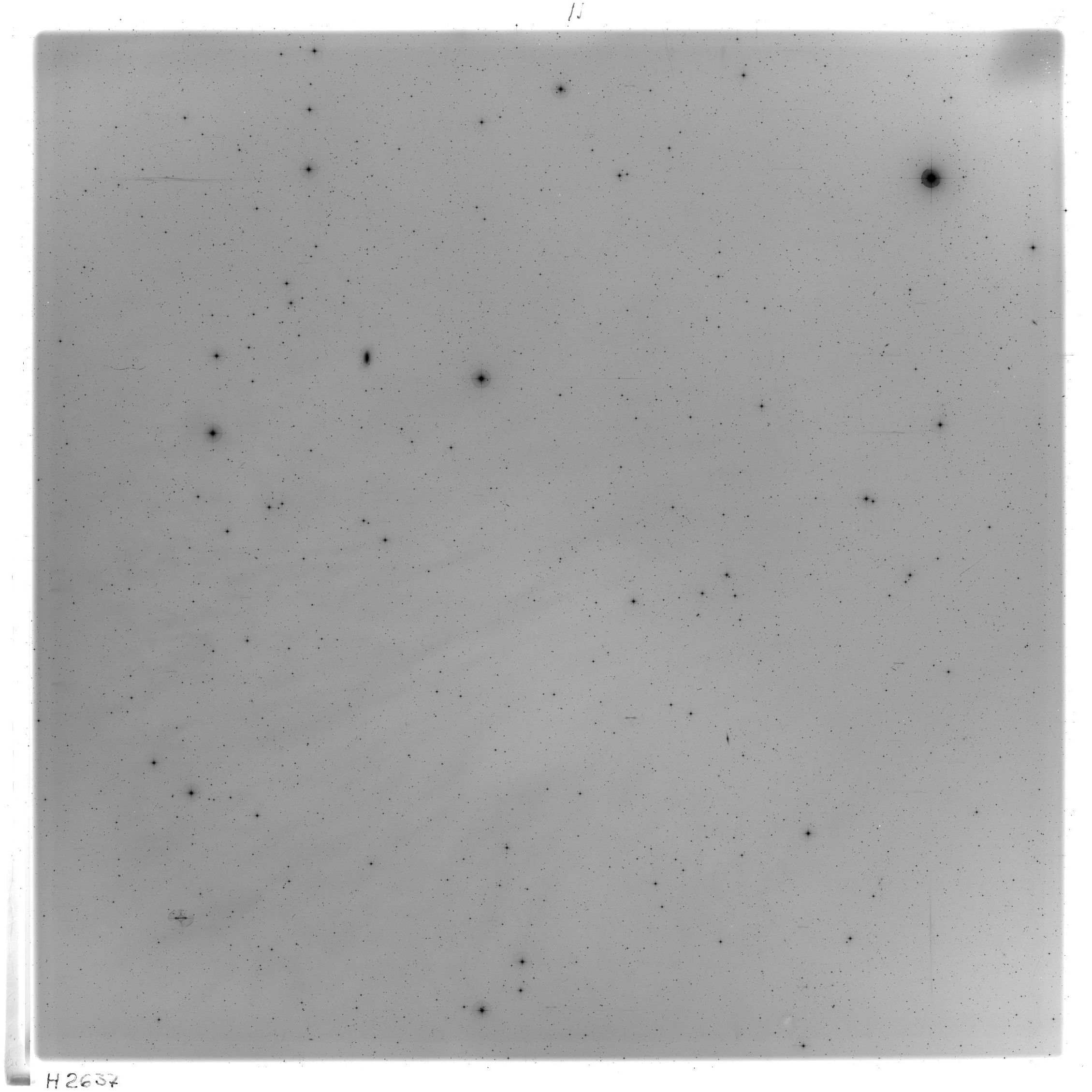 Scan HS02637