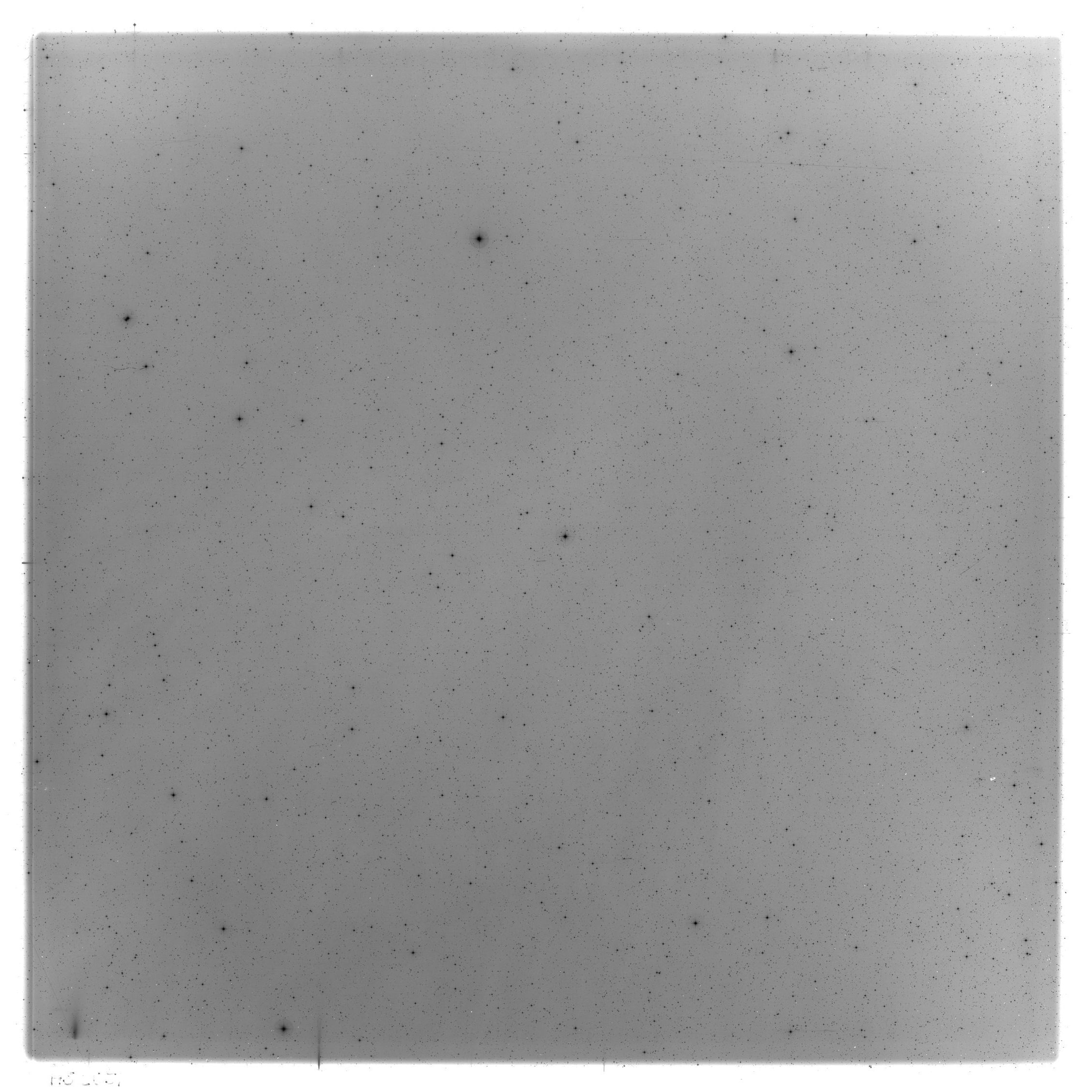 Scan HS02651