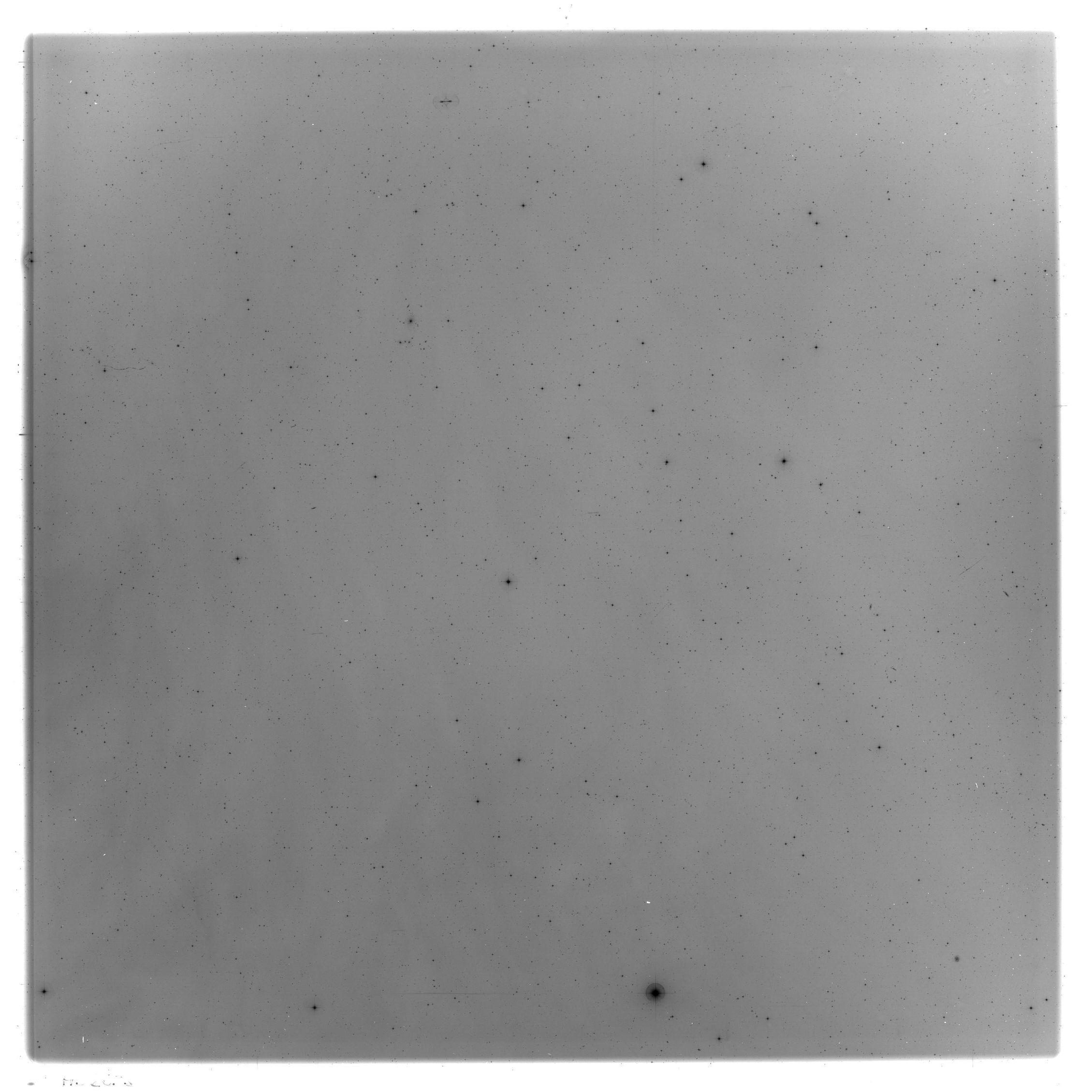 Scan HS02653