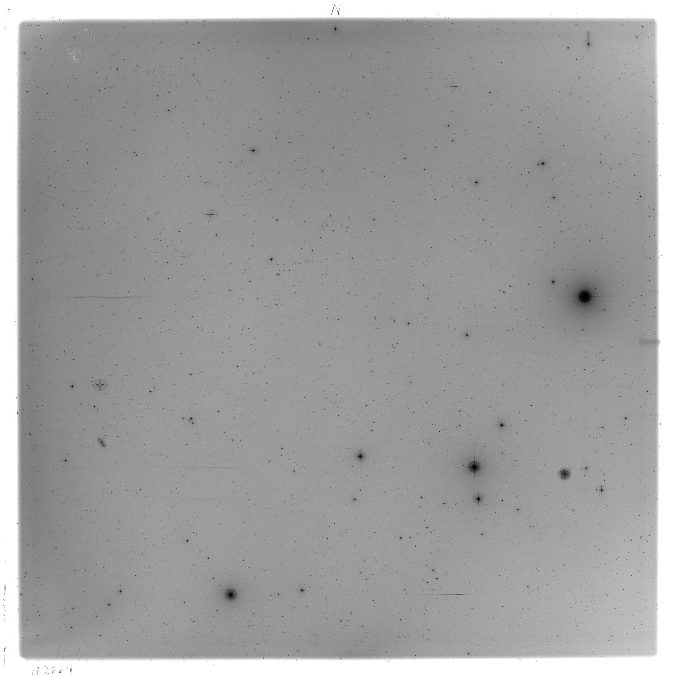 Scan HS02664