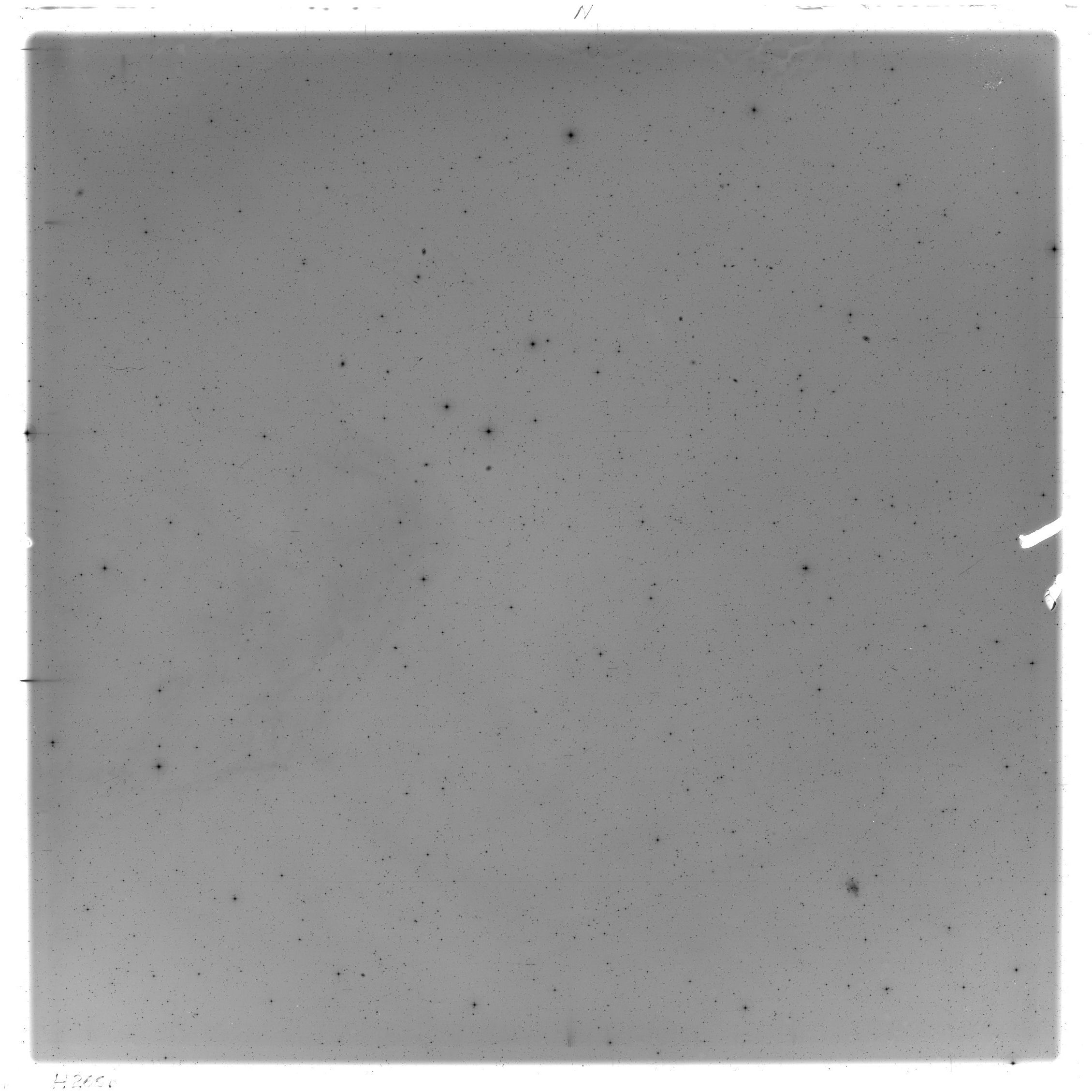 Scan HS02666