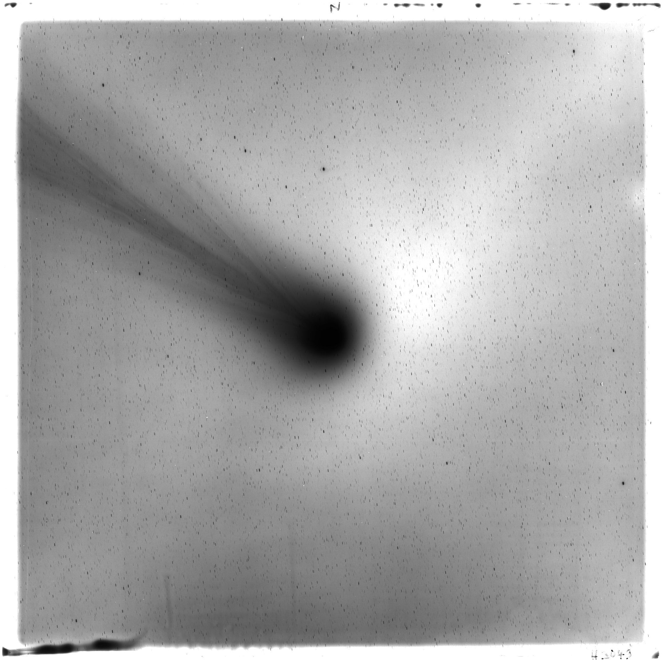 Scan HS03049