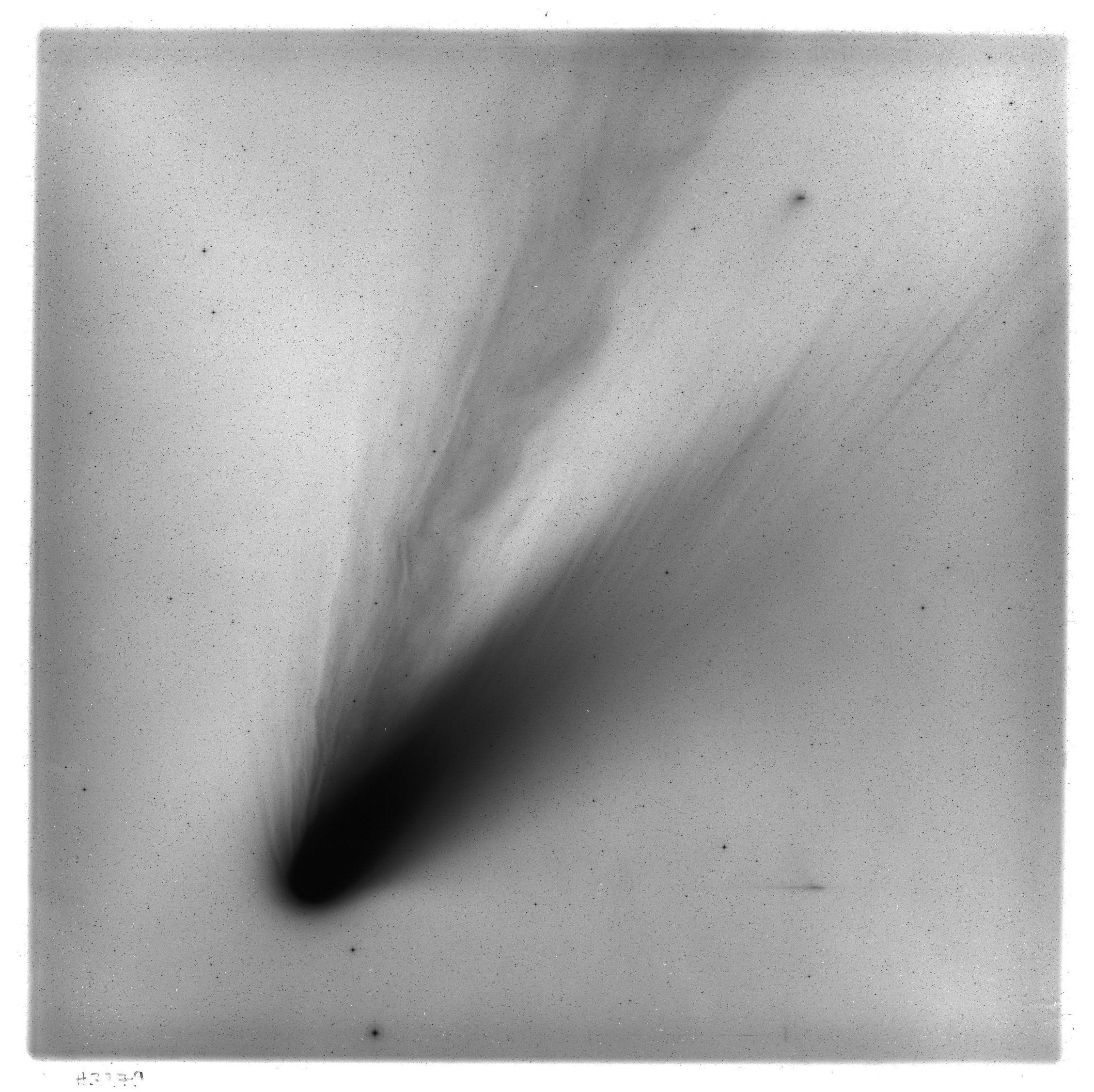 Scan HS03279