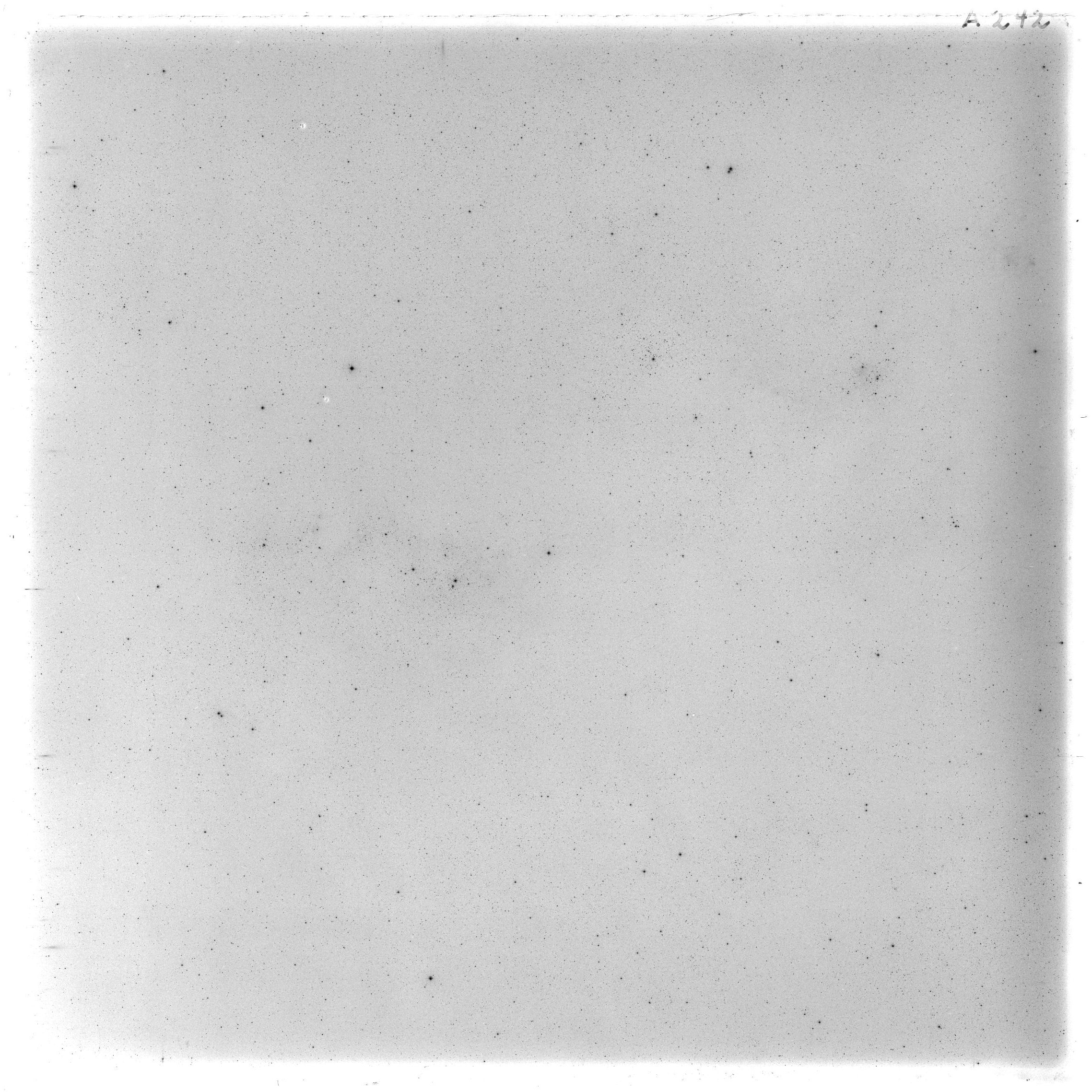 Scan HSA0242