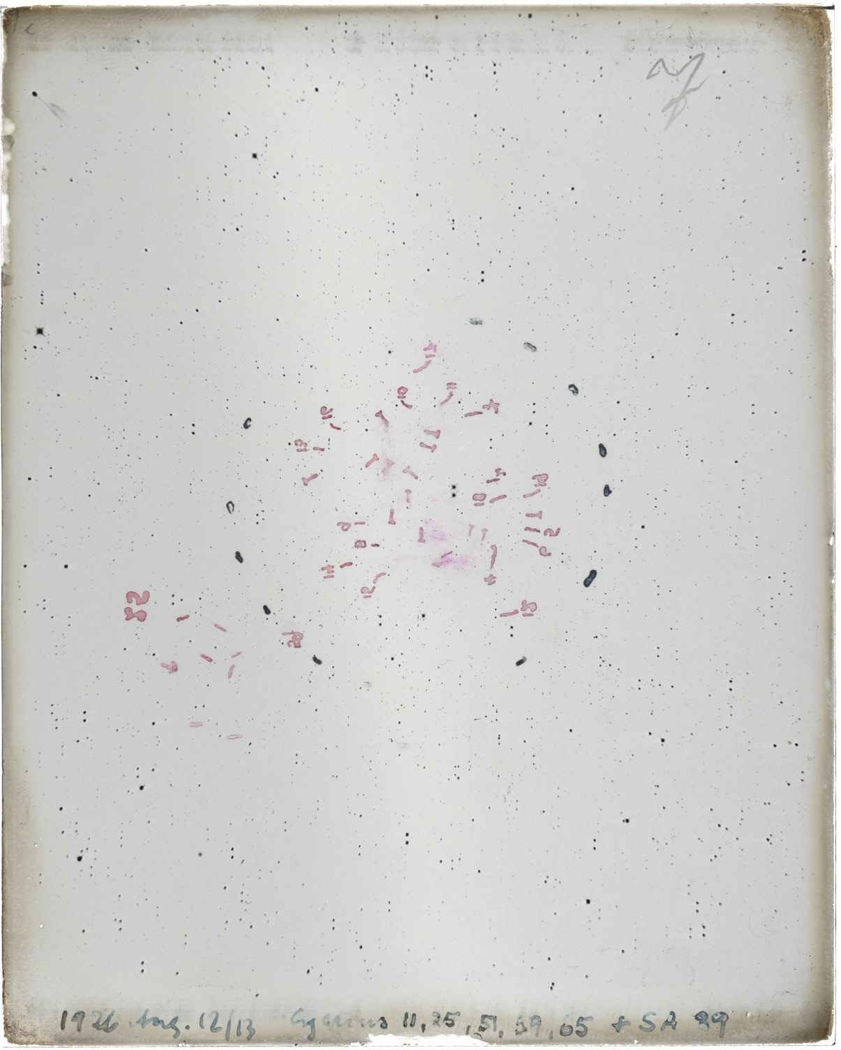 Scan MW00007