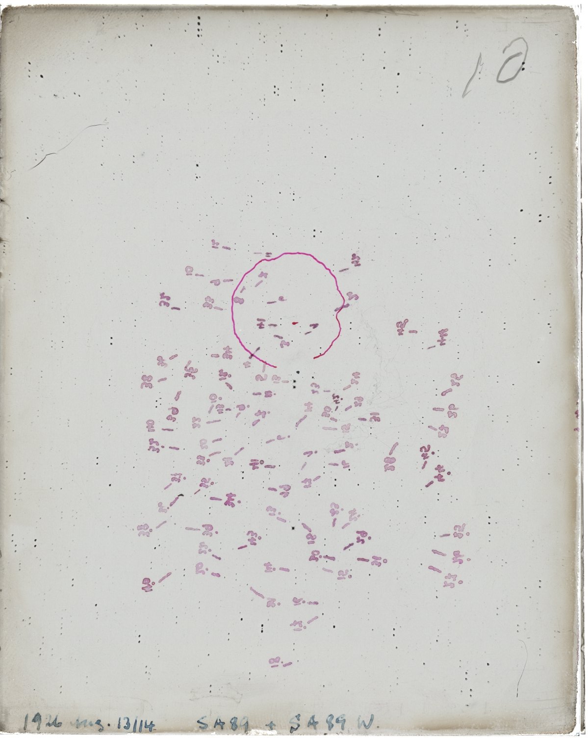 Scan MW00010