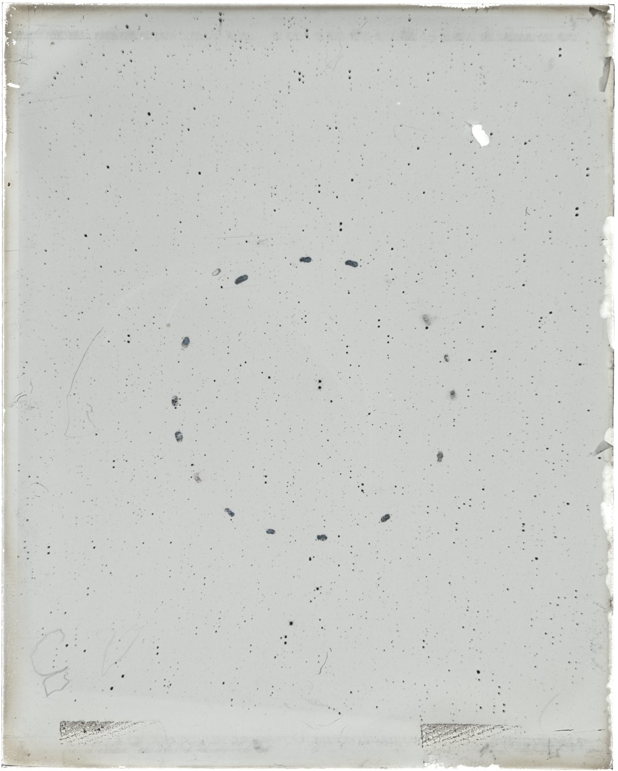 Scan MW00013