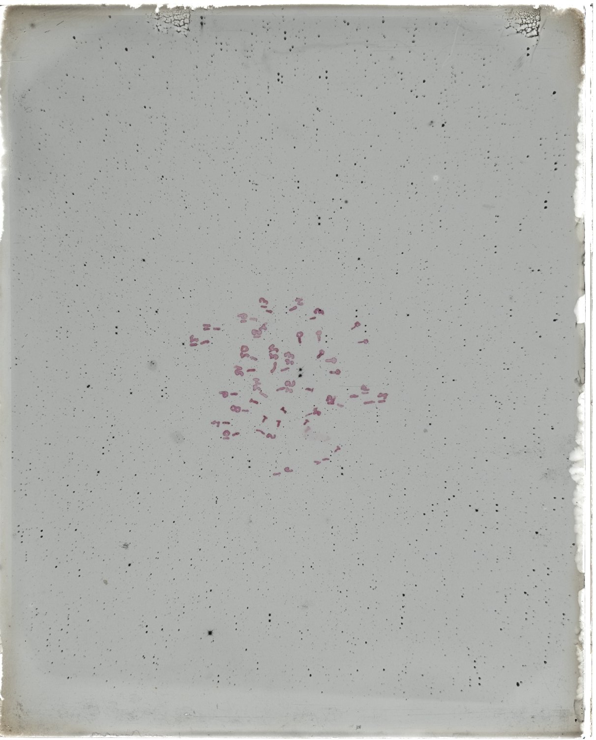 Scan MW00014