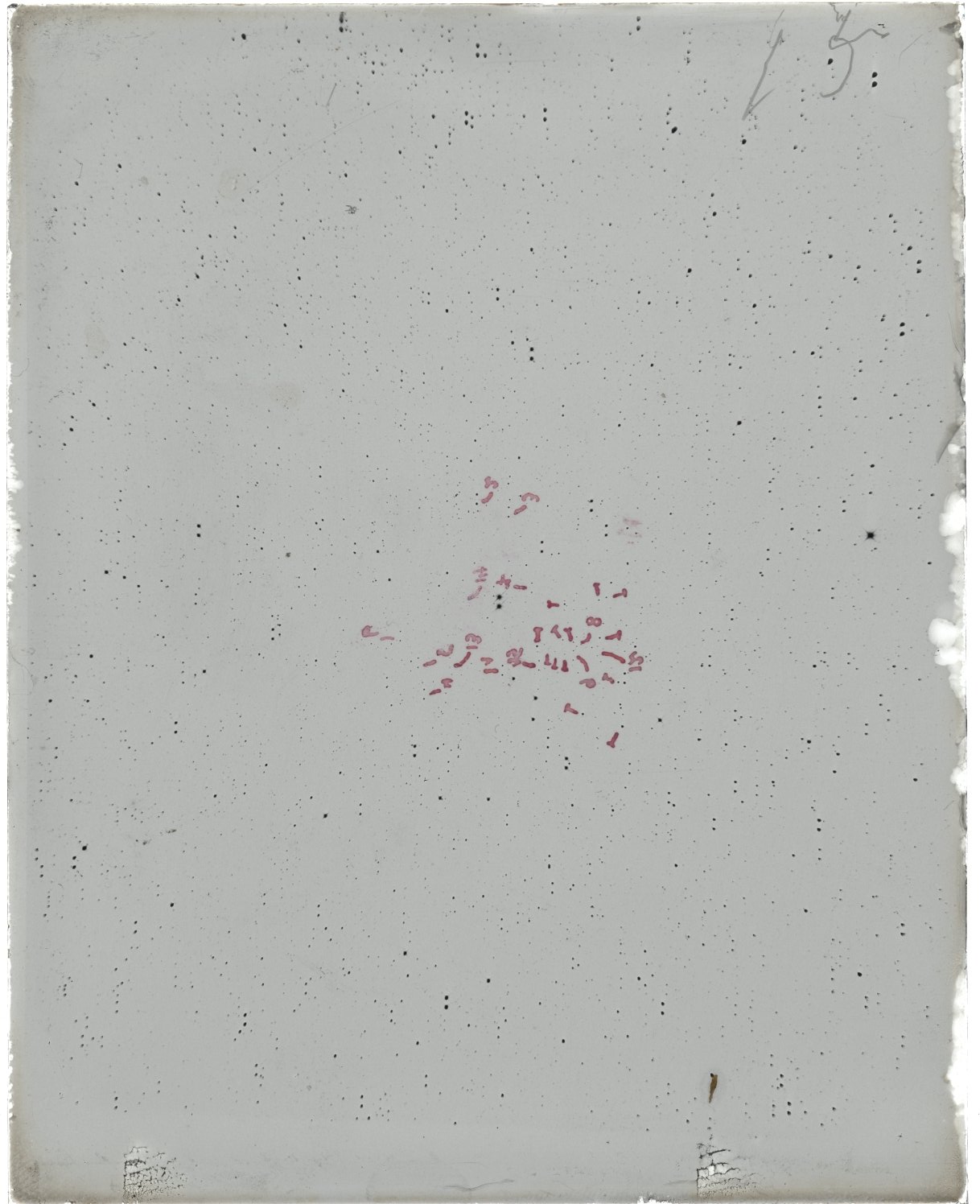Scan MW00015