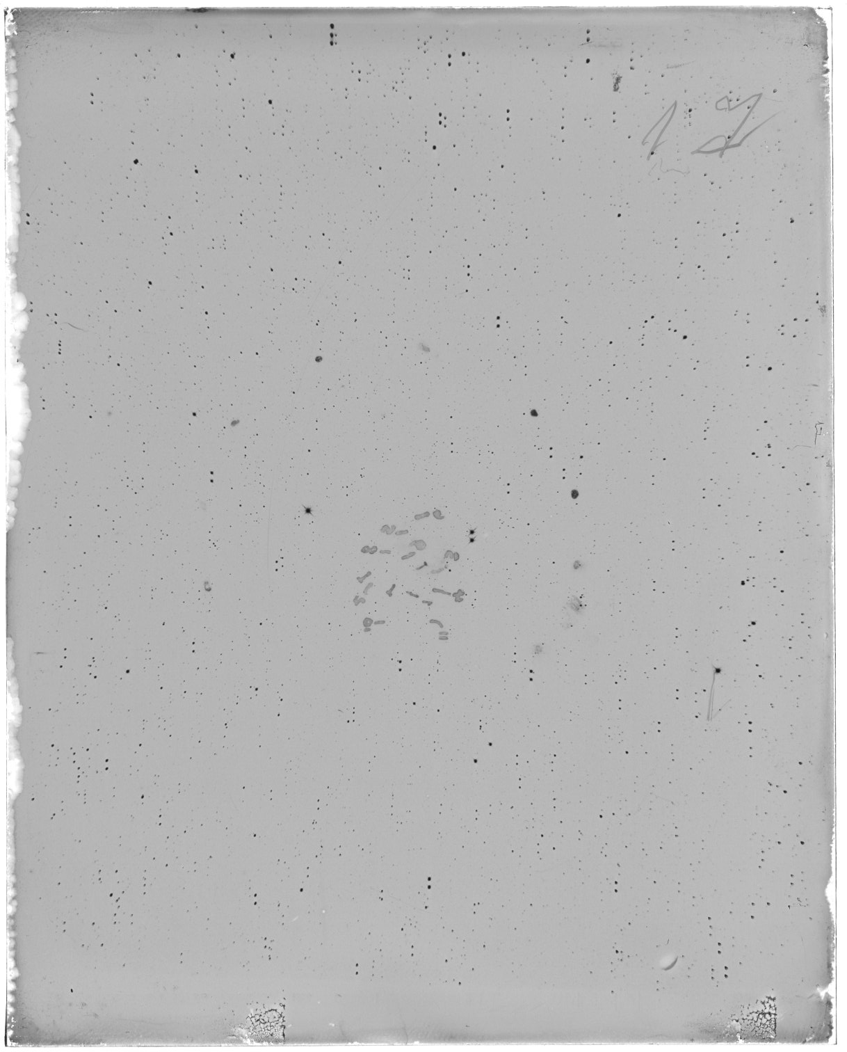 Scan MW00017