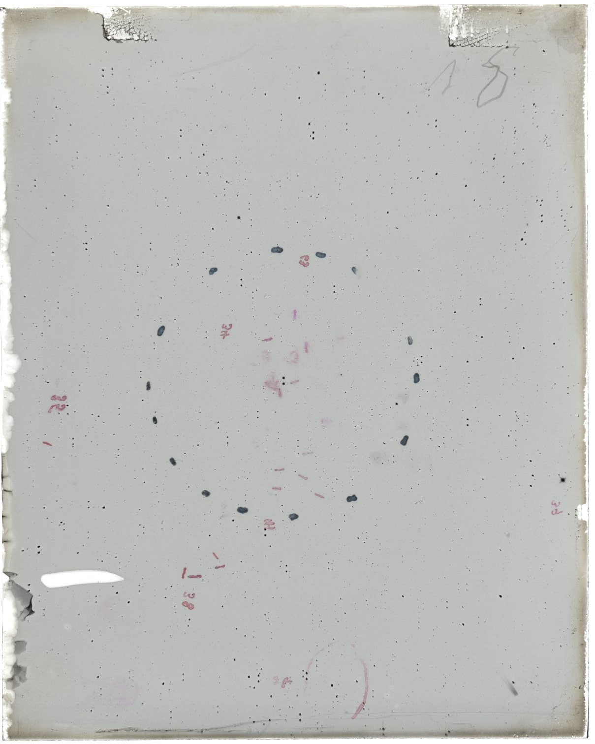 Scan MW00018