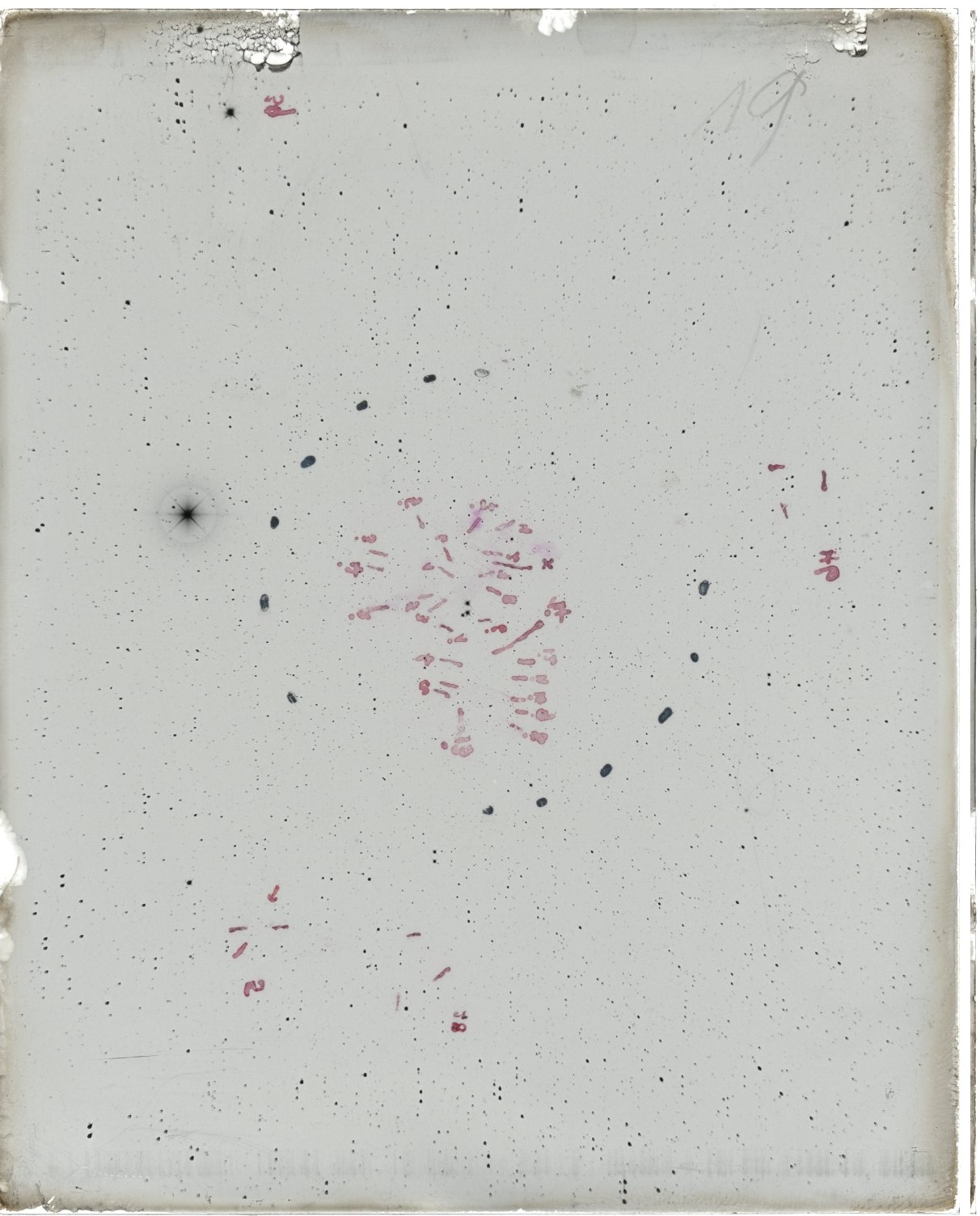 Scan MW00019