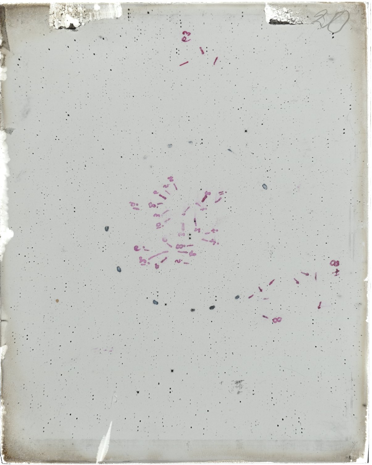 Scan MW00020
