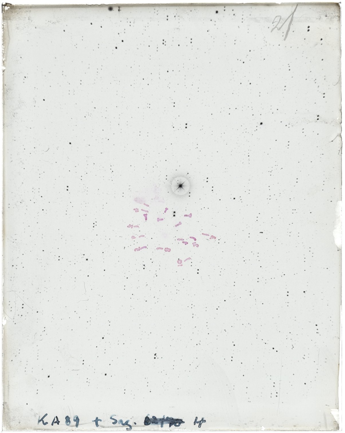 Scan MW00021