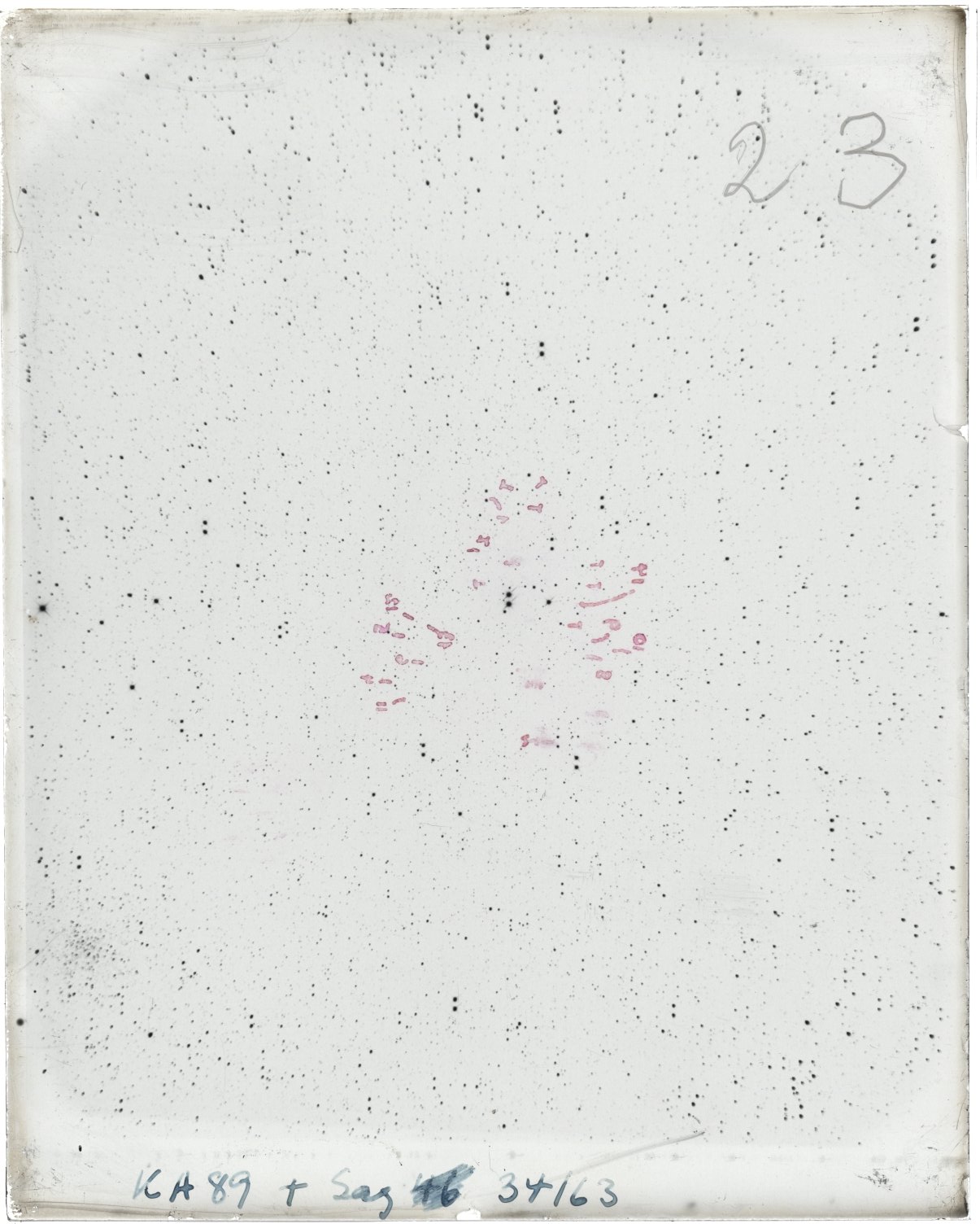 Scan MW00023