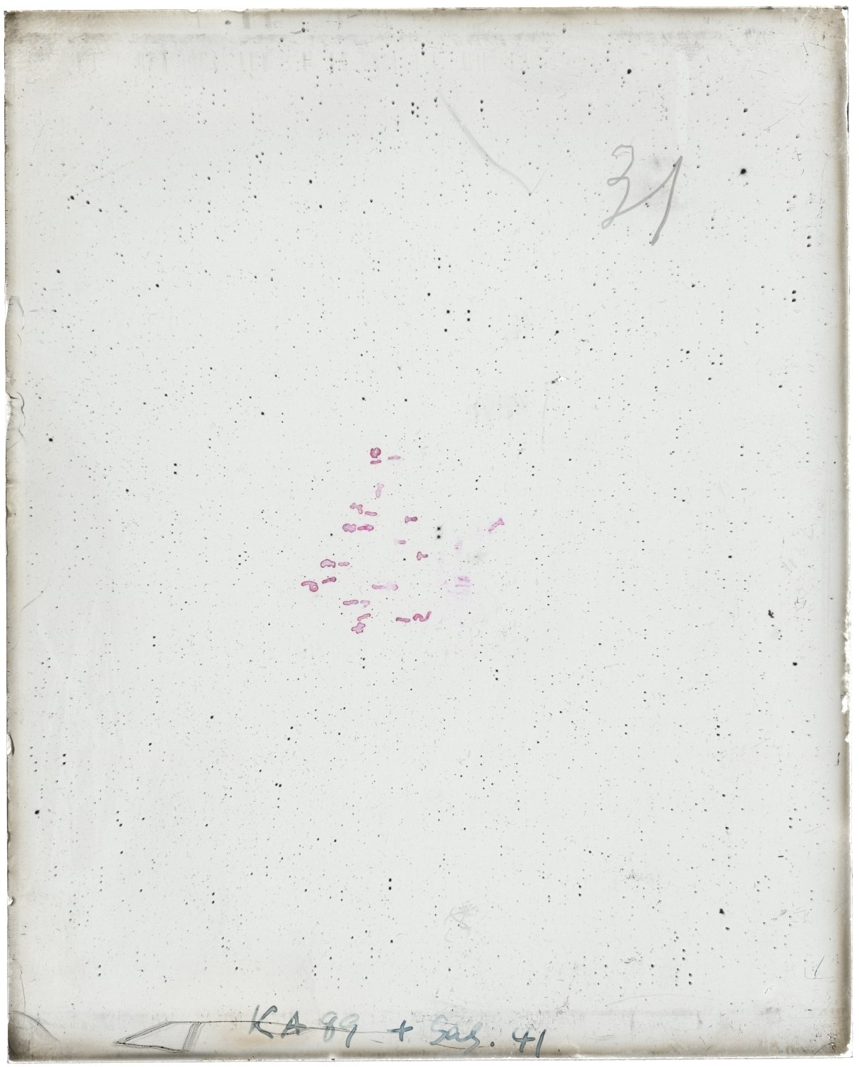 Scan MW00031