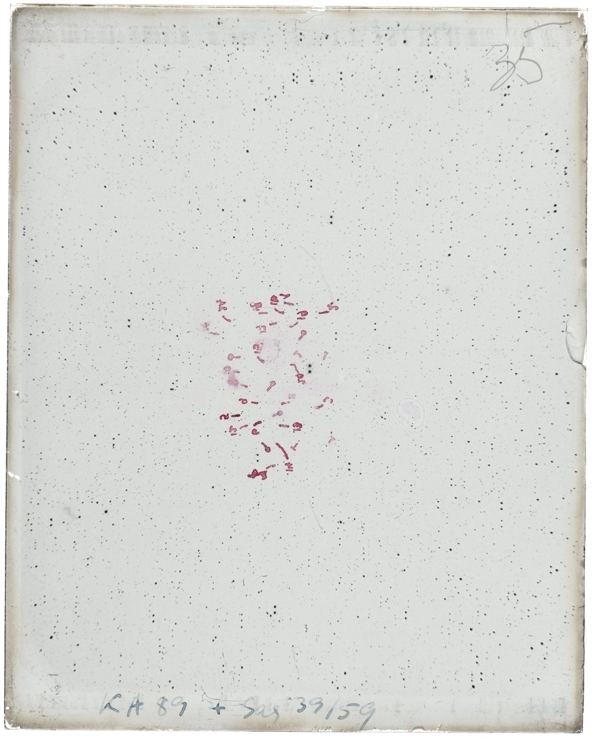 Scan MW00035