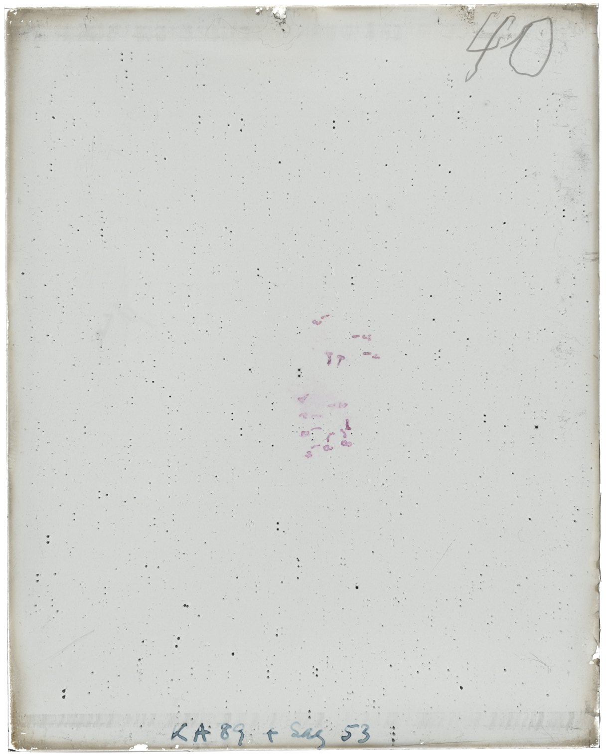 Scan MW00040