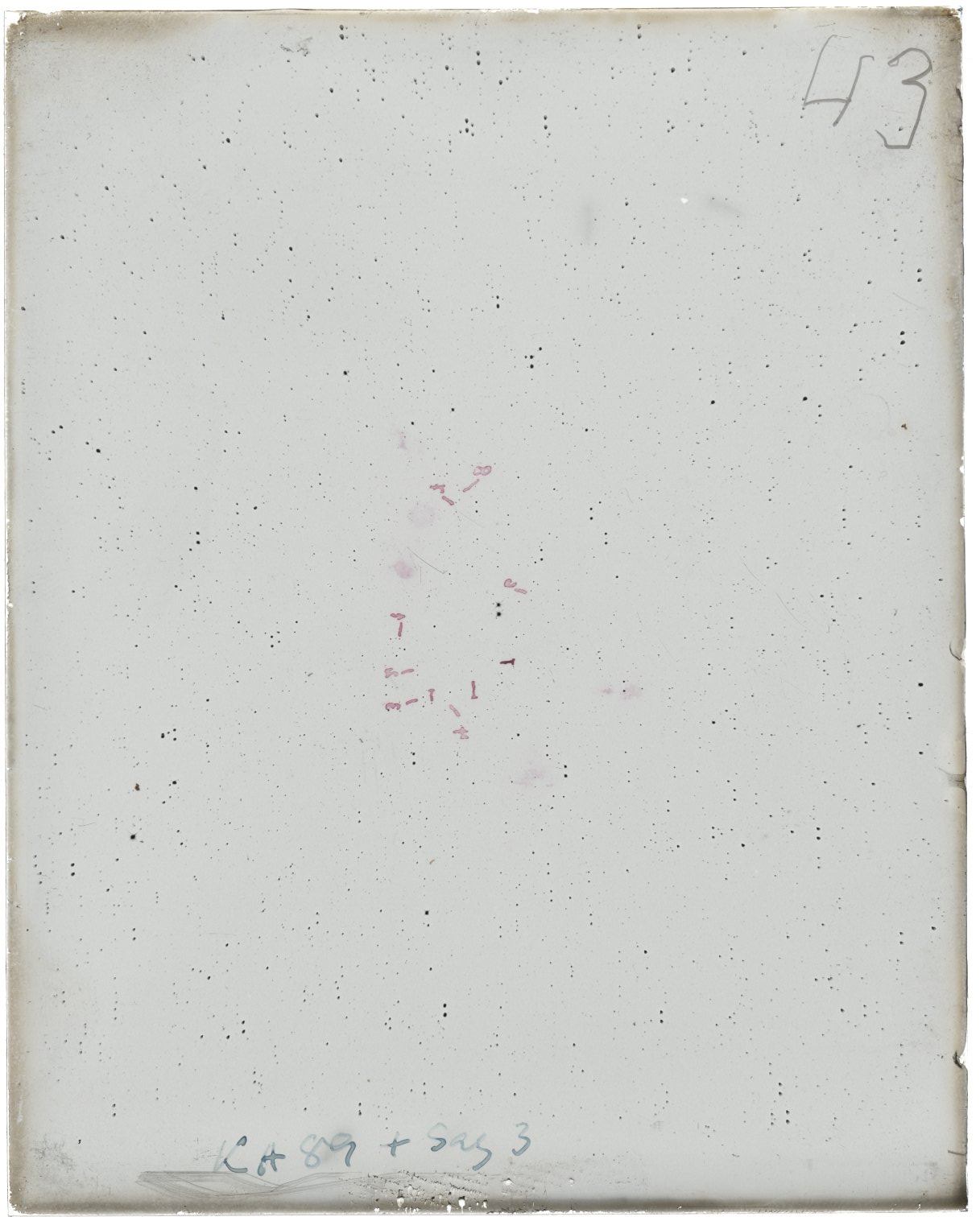 Scan MW00043