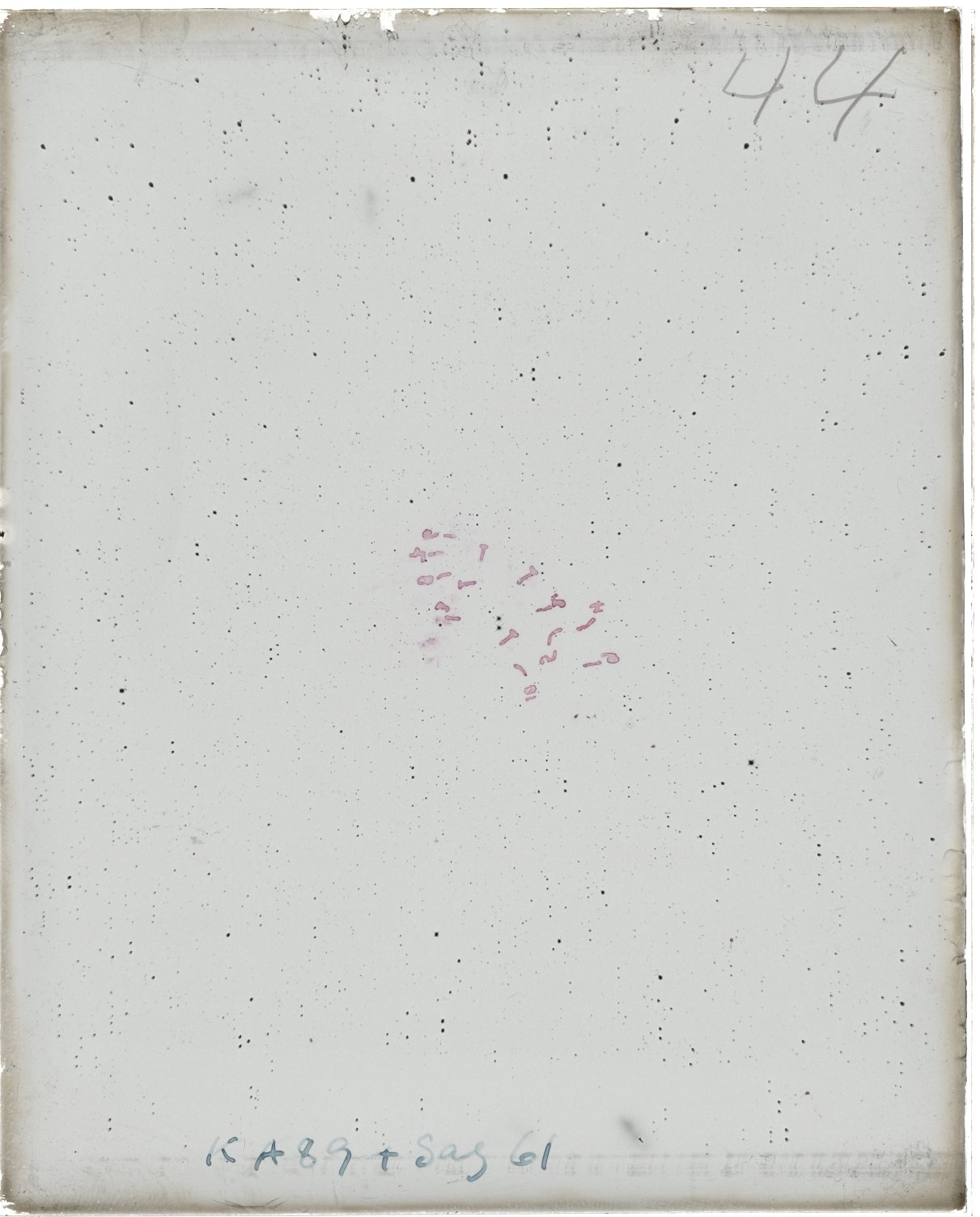 Scan MW00044