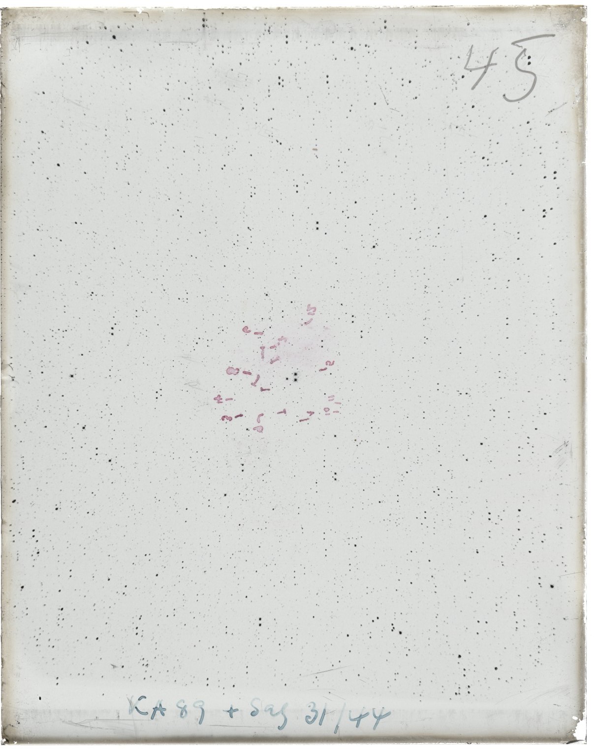 Scan MW00045