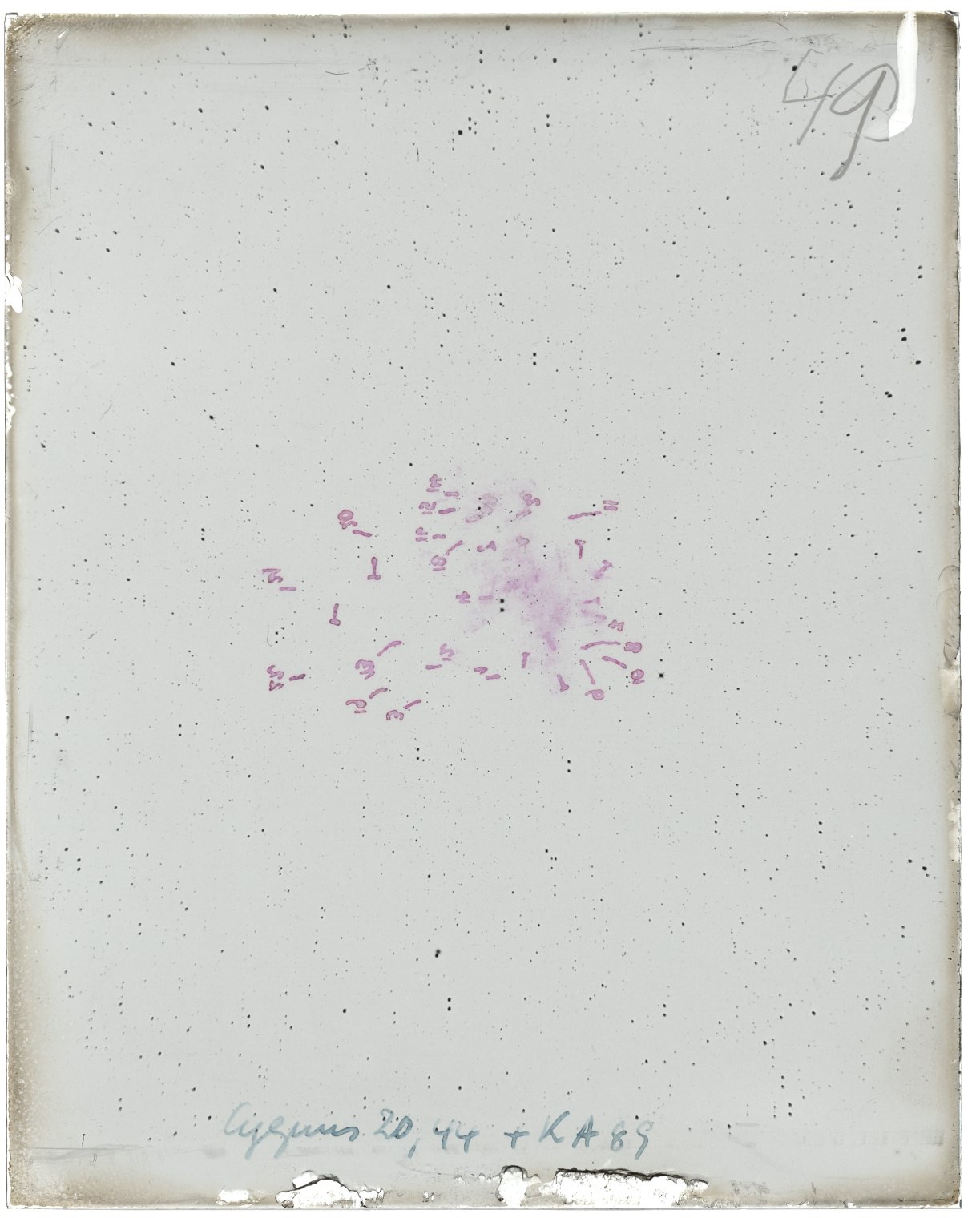 Scan MW00049