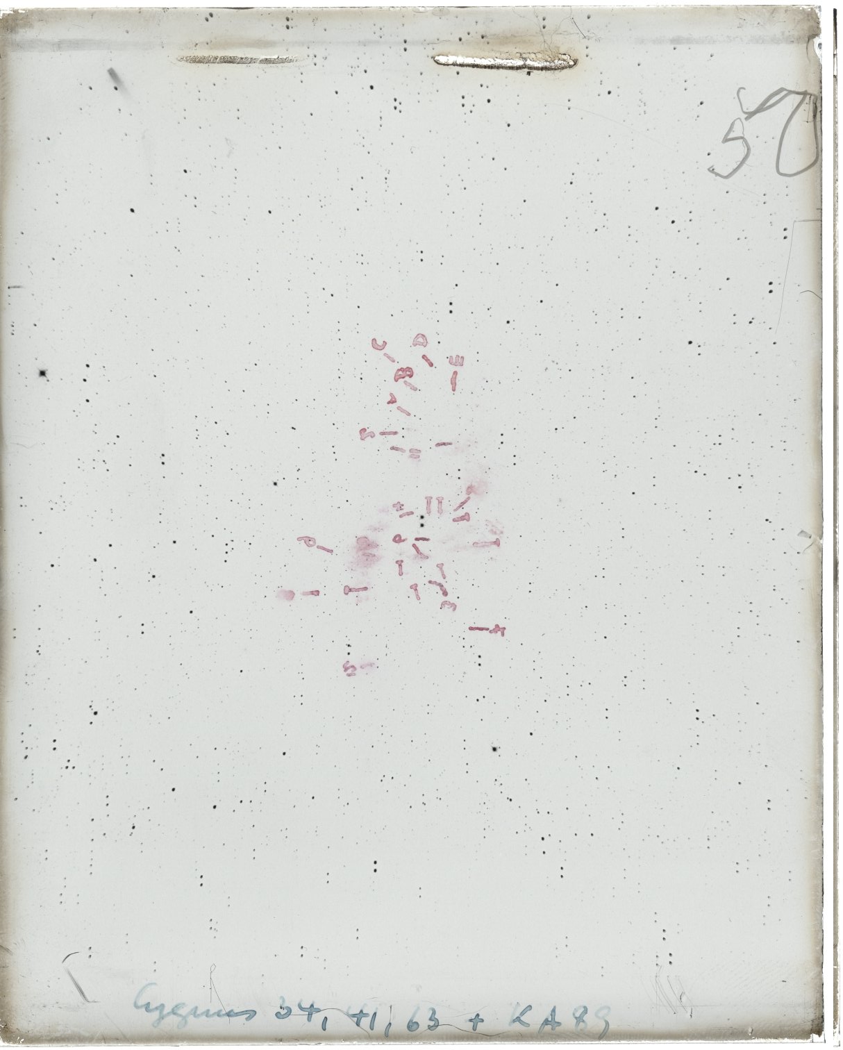 Scan MW00050