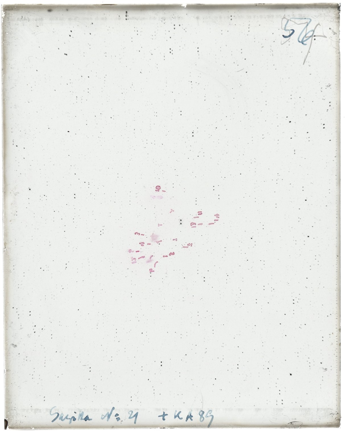 Scan MW00056