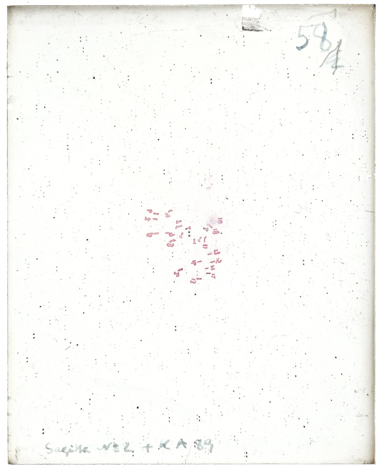 Scan MW00058