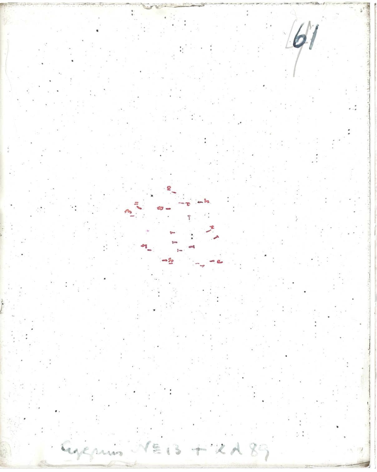 Scan MW00061