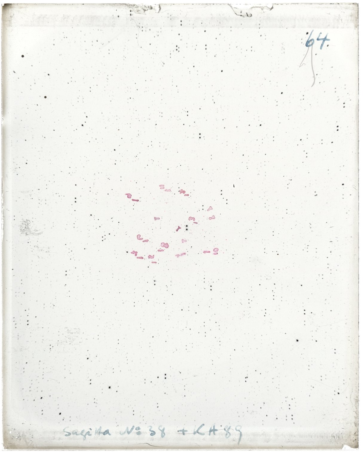 Scan MW00064