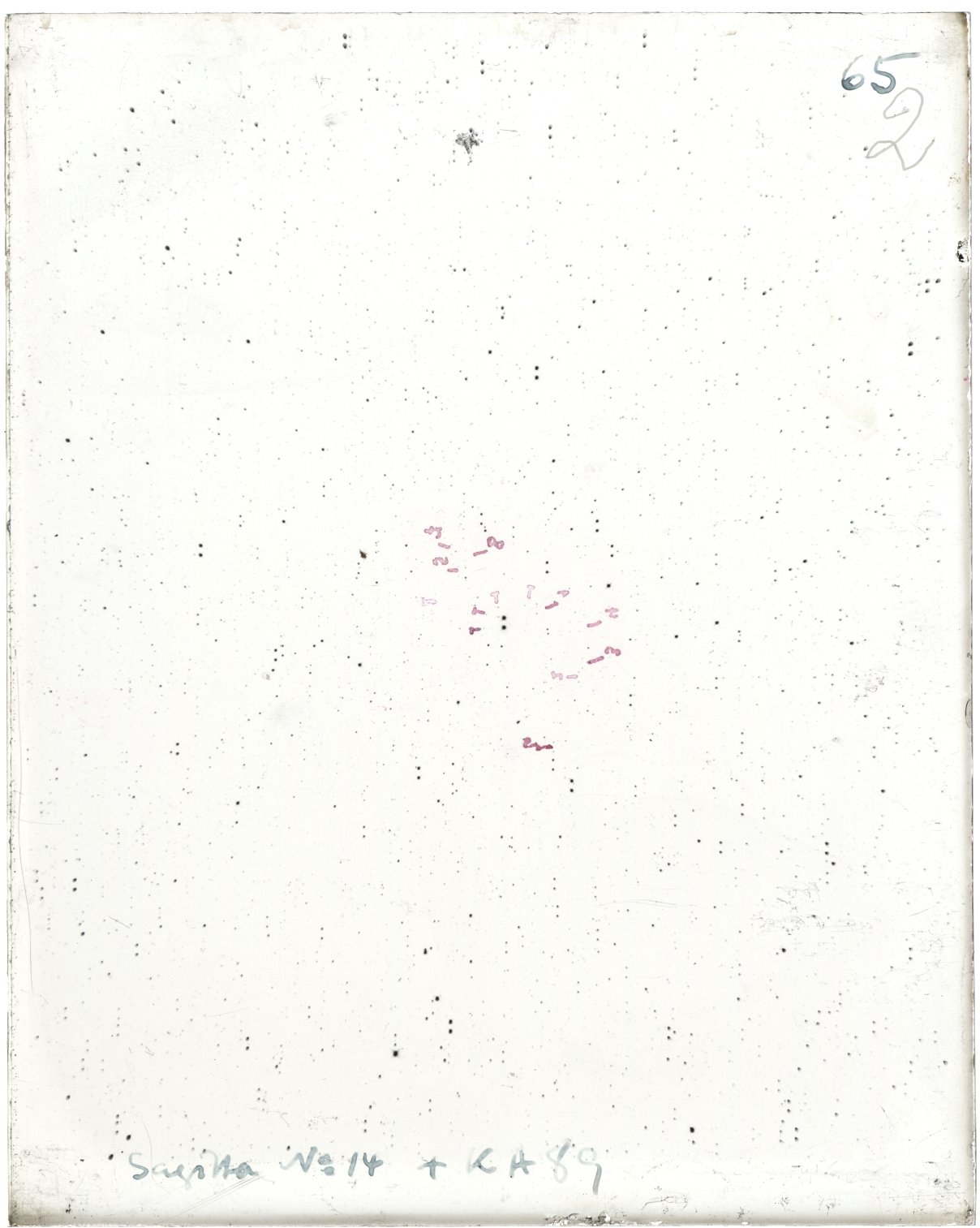 Scan MW00065