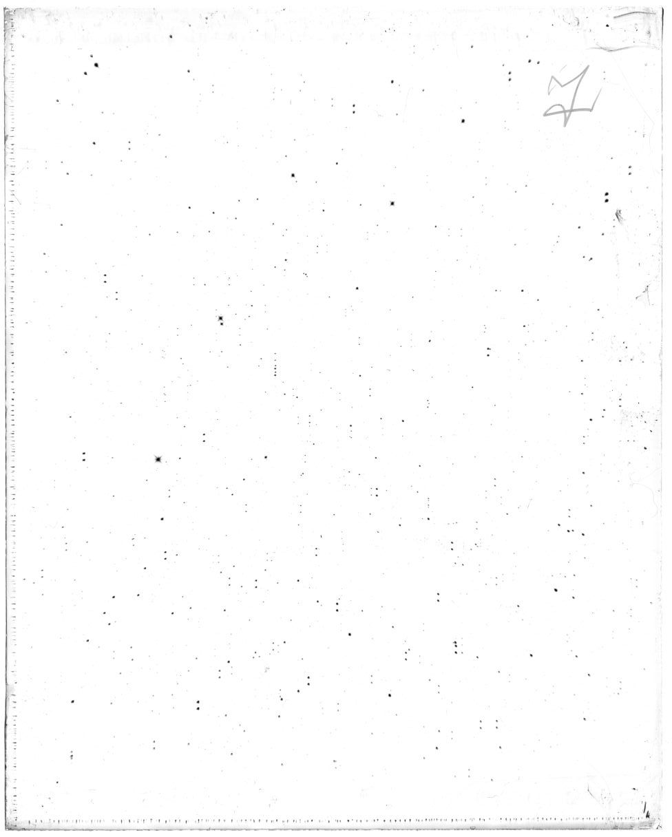 Scan MW10007