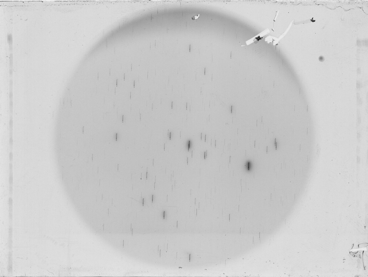 Scan KS00186