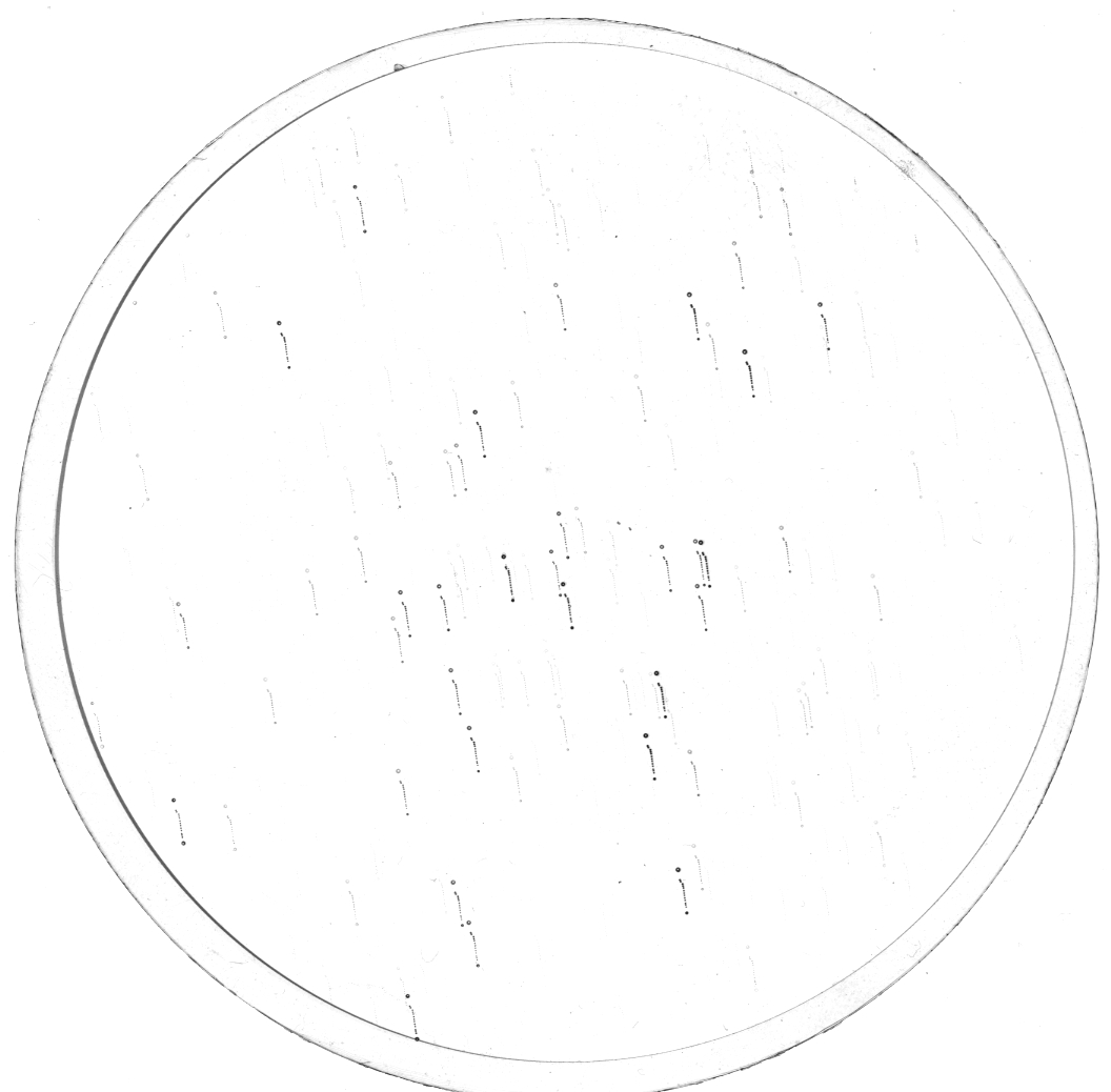 Scan KS00077c