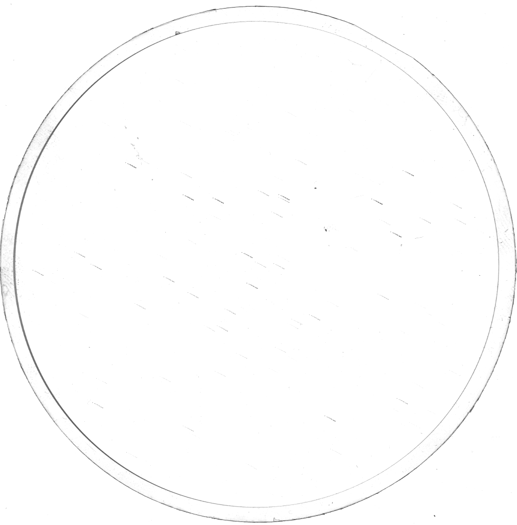 Scan KS00077f