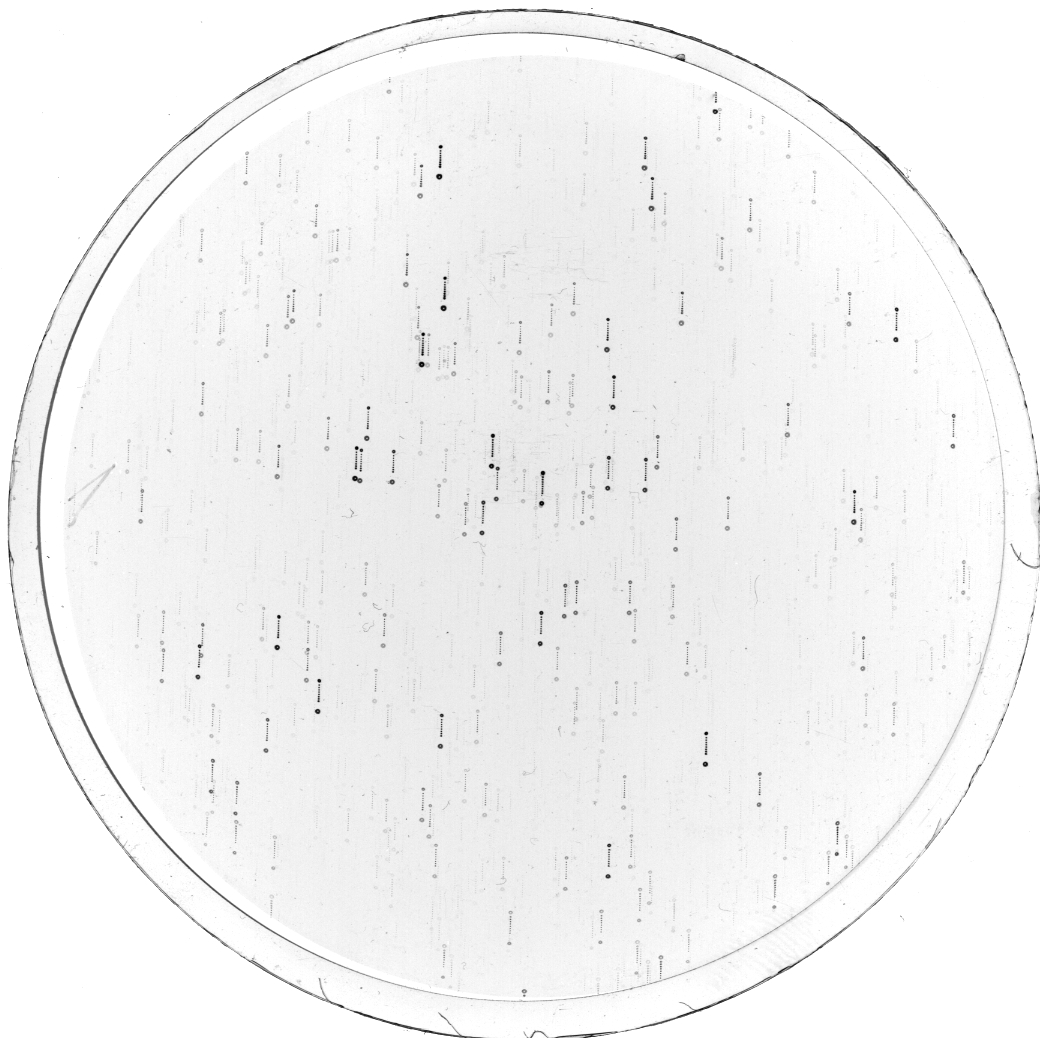 Scan KS00086n