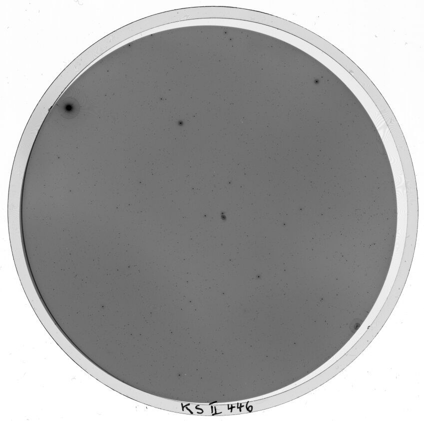Scan KS00446