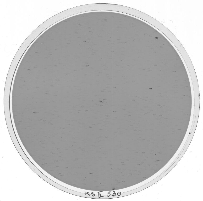 Scan KS00530