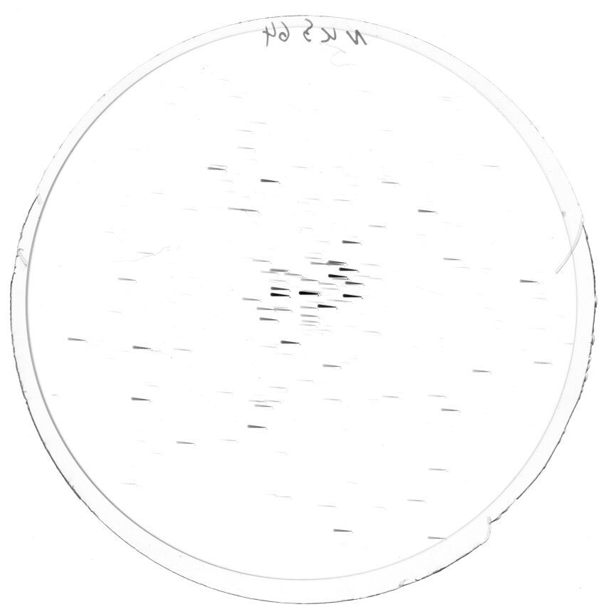 Scan KSK0064