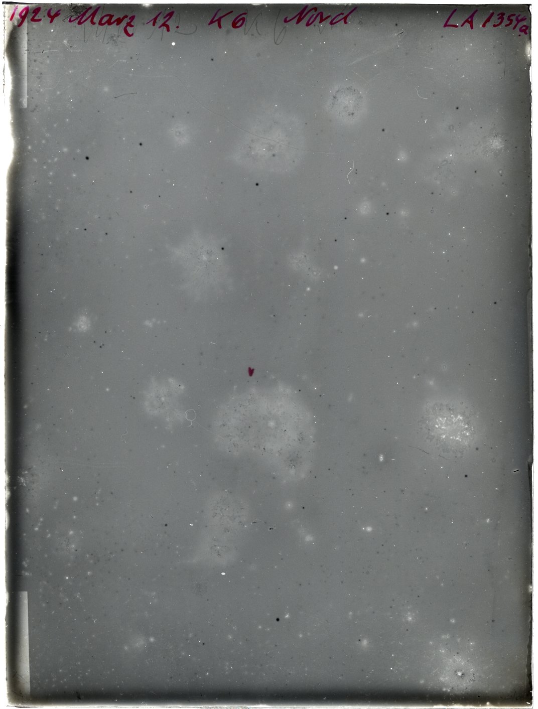 Scan LA01354a