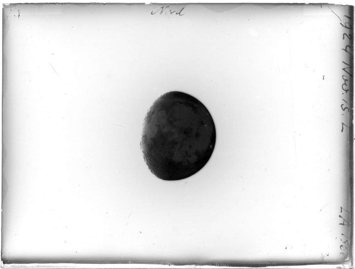 Scan LA01566