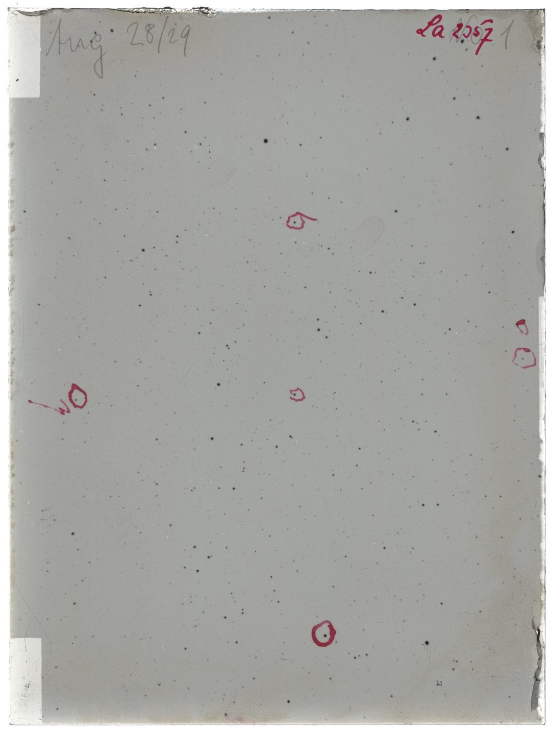 Scan LA02357